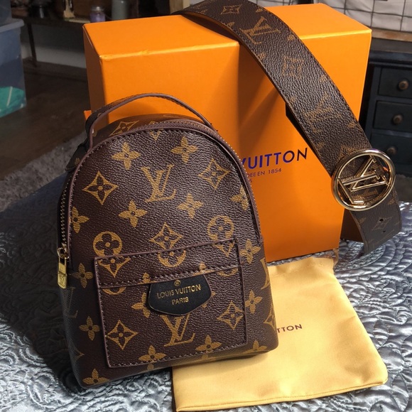 Louis Vuitton Bags Lv Look Palm Springs Mini Backpack Monogram Belt